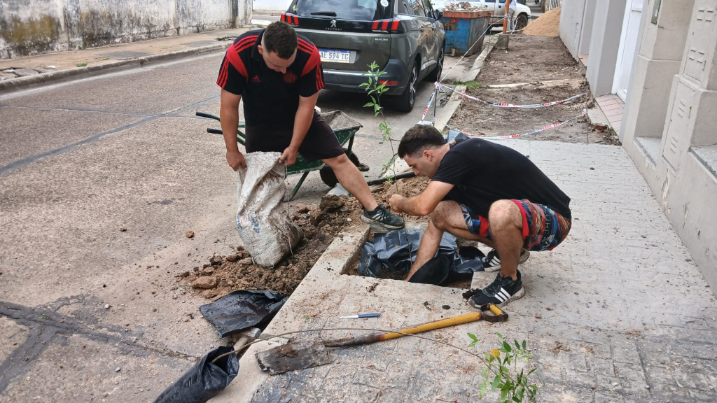Continúan las plantaciones del Programa Municipal de Arbolado