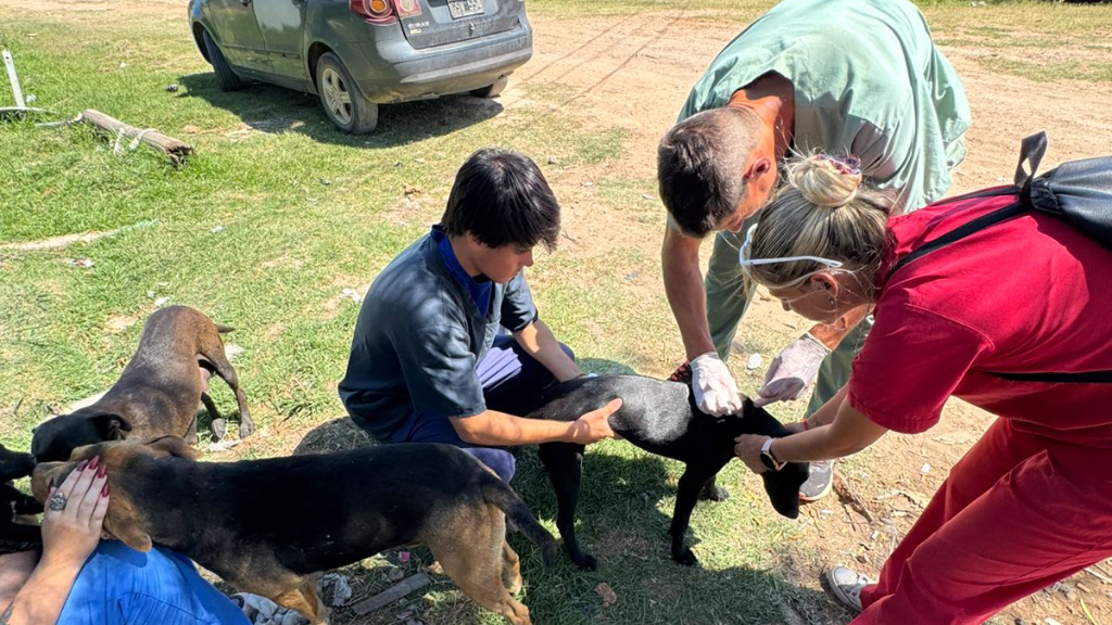 Amplían operativos de vacunación y el castramóvil continuará en el Predio Multieventos