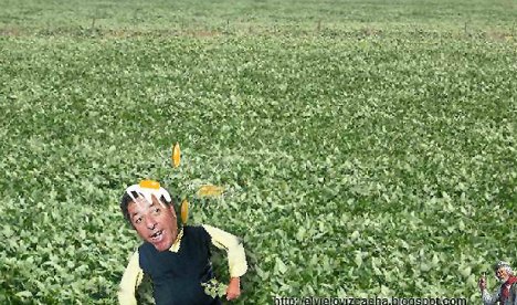 “El que quiera comer lomo que pague 80 pesos el KG” la frase de De Ángeli usada en su juego online