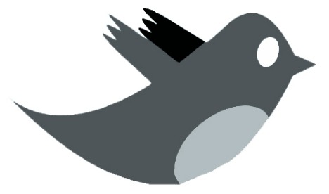 Urribarri, vía twitter, comenta en tiempo real la misión a Angola