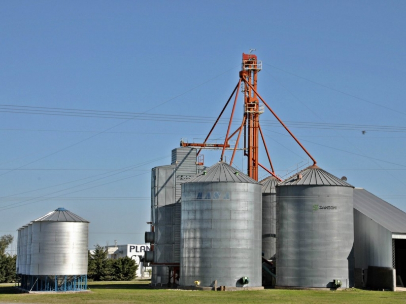 Los molinos harineros compran menos trigo que en el 2004