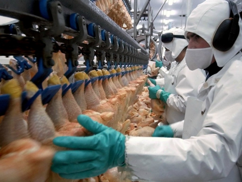 Empresarios avícolas entrerrianos preocupados por el ingreso de productos desde Brasil