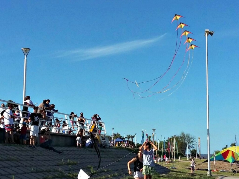 Los barriletes pintan el cielo en la Isla del Puerto