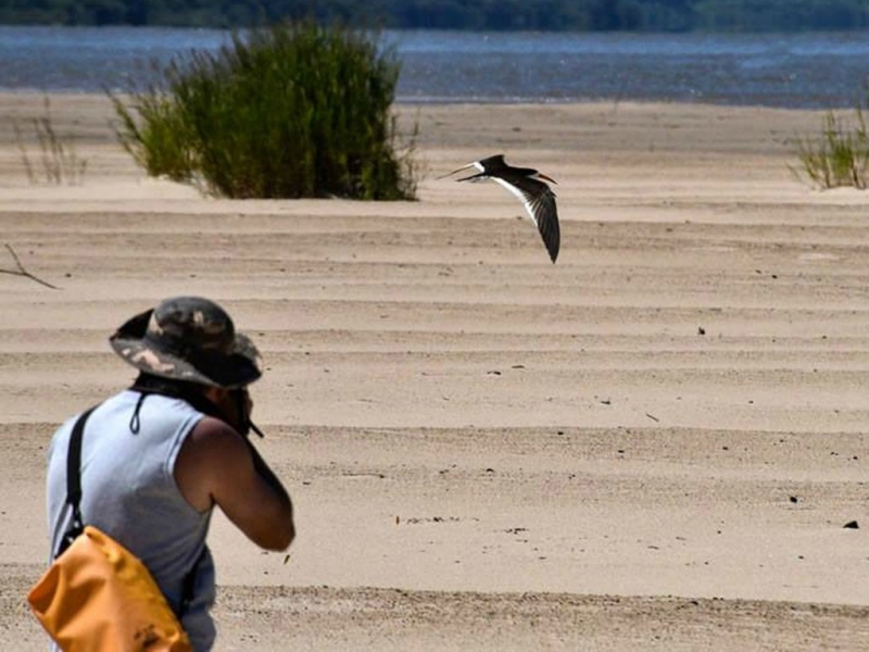 Salida fotográfica en la Reserva de la Isla del Puerto