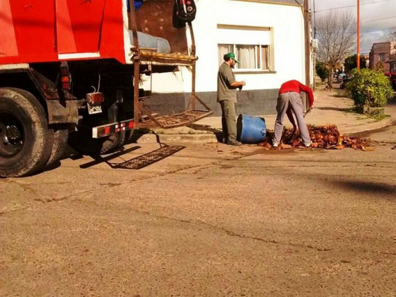 Incorporaron dos camiones más para recolección de hojas y poda 